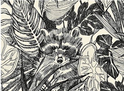 GREYSCALE FOREST