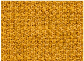 GOLDEN MARIGOLD